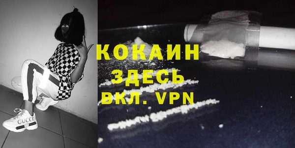 дурь Няндома